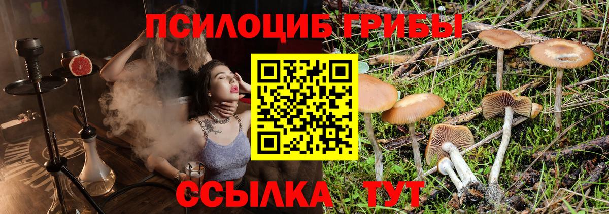 Псилоцибиновые грибы мухоморы  Вход с VPN  Чайковский 